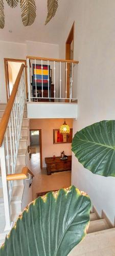 Villa paisible 3 chambres proche Albufeira in Paderne