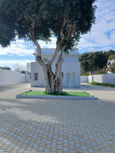 Newfaro2 chambre d'hôte Villa Spartera