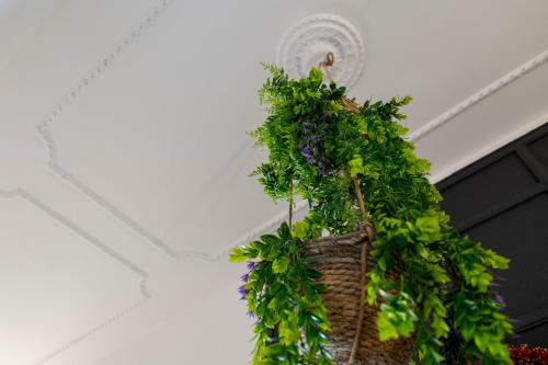 St. Peter Central Rooms B&B – Rome