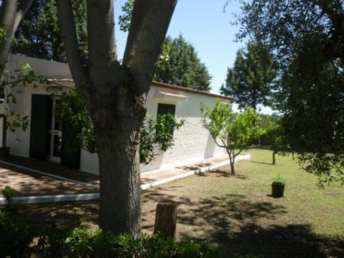 Villa Il Carrubo - Basilicata