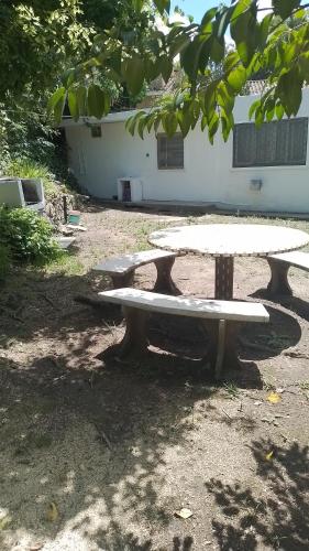 Adonay in Agua de Oro