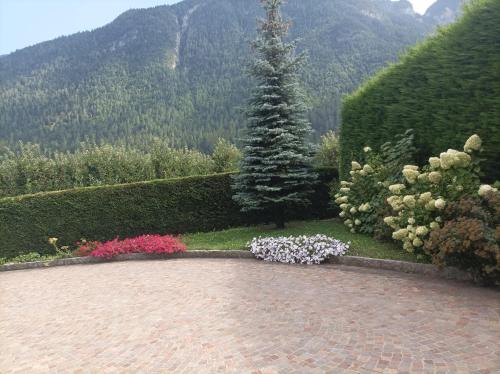 Holiday Valdisole in Croviana