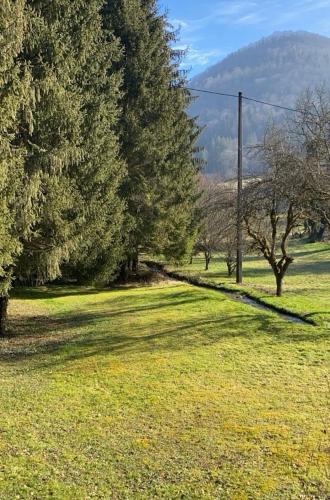 Dārzs, Gîte de la forêt (Gite de la foret) in Montbeliardot
