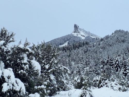 Cabaña de Montaña