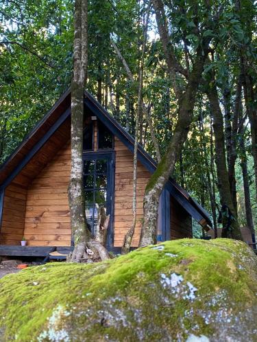 Coigüe Lodge - Villarrica - desayuno incluido