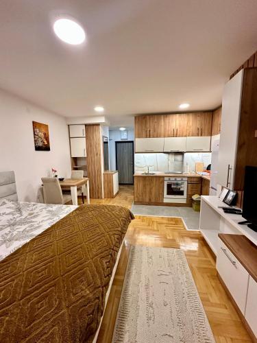 Vidolux Studio - Free Garage and Fast WiFi