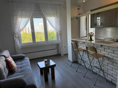 Modern Cosy apartment Vračar