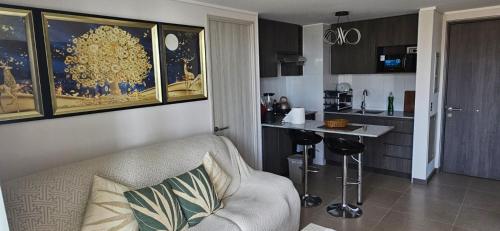 luxurious area and safer than Iquique