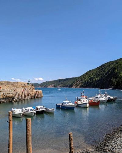 沙灘, The New Inn Hotel Clovelly in 克勞夫利鎮中心