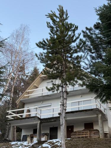 Mavrovo Lake Chalet in Leunovo