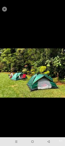 Laminas beach camp in Kilifi