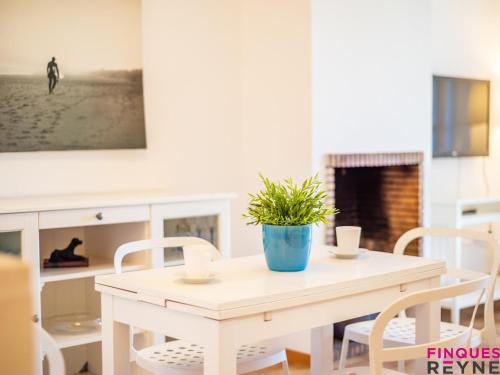 Apartamento en planta baja con jardín y acceso a piscina, cerca de playa de Sant Pol - ES-298-47 (Apartamento en planta baja con jardin y acceso a piscina, cerca de playa de Sant Pol - ES-298-47) in S'Agaro