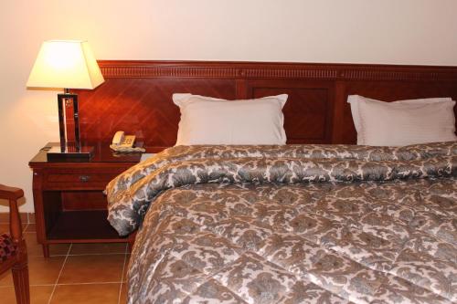 Al Hayet Palace Hotel image 14