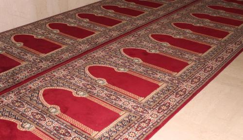 Al Hayet Palace Hotel image 12