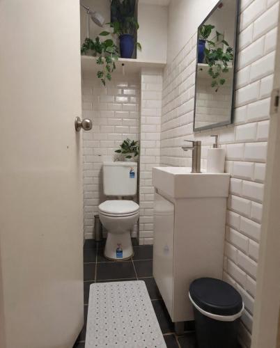 Cozy Studio Walk to CBD in Surry Hills