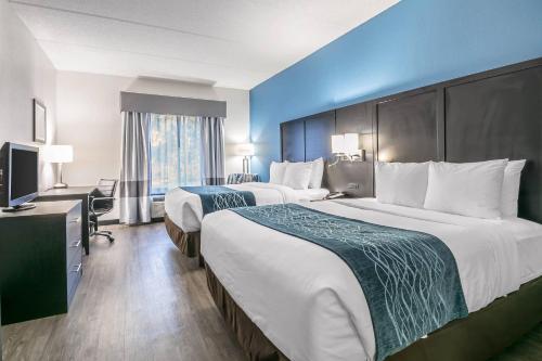 Comfort Inn University Gainesville - image 33