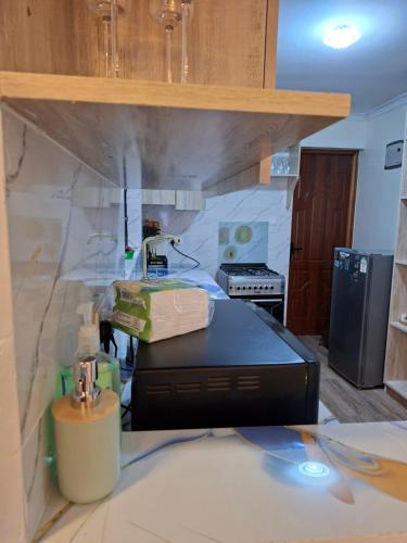 Pearl Apartment Ruaka in รูอากา
