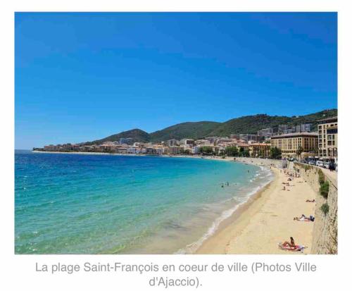 AJACCIO Hyper centre Fesch