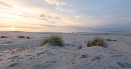 Beach, Duynlodge Ameland direct aan het strand in Ameland