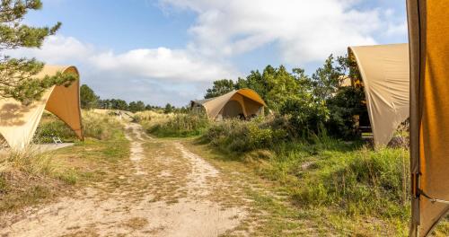 Surrounding environment, Duynlodge Ameland direct aan het strand in Ameland