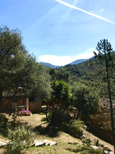 La licorne in Serriera