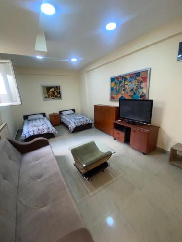 Sani Suteren Apartment, Skopje (photo 5)