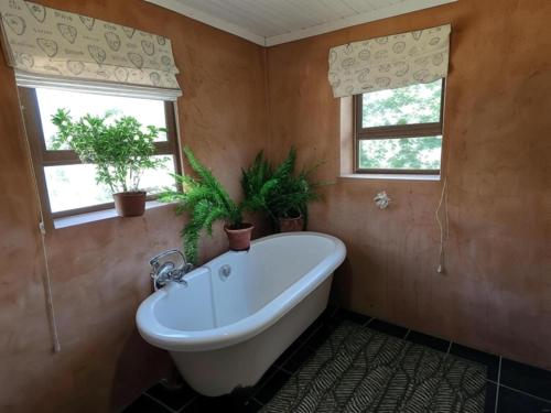 Klipspringer Cottage in Ceres