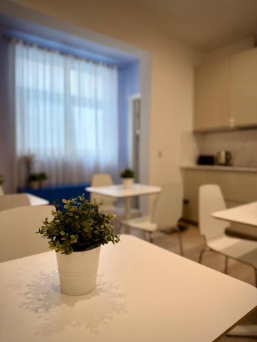 Apartment 81 2
