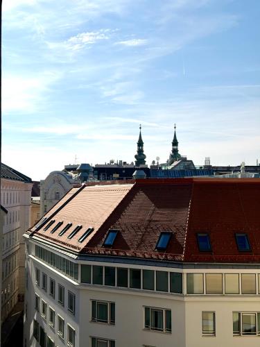 Center Apartment with 360° Rooftop, Vídeň (fotografie 6)