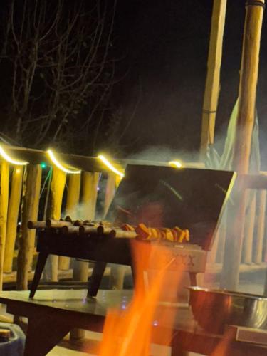 Manali Adventures Stay & Cafe photo 4