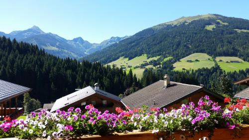  Hanslerfeld, Alpbach bei Dorf