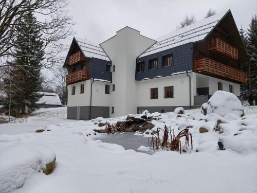 Apartmány Deštné 251 (Apartmany Destne 251) in Destne V Orlickych Horach