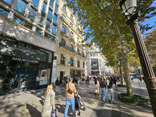 UrbanFlat 128 - Champs-Elysees Penthouse Apartment - image 2