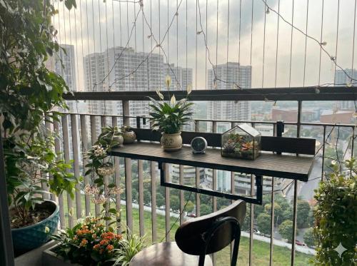 Home MinMimi in Da Ton