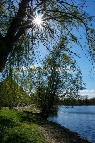 L'orée du lac - Formule Chambres (L'oree du lac - Formule Chambres) in Марсене