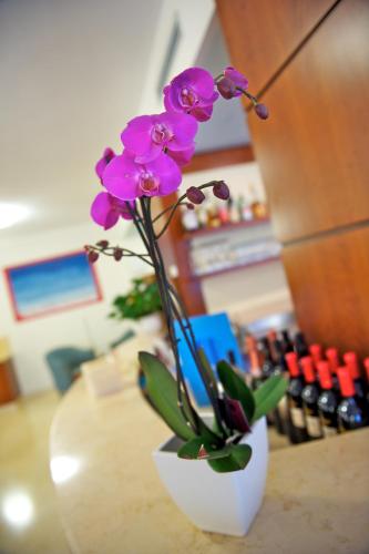 Hotel Garnì Orchidea - image 5