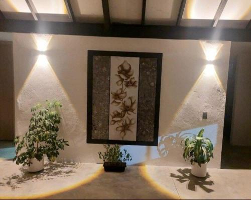 Nordika House - ideal para fotografía y descanso, Medellín (Foto 3)