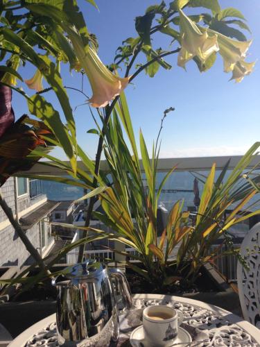 Donna's Bed & Breakfast – White Rock