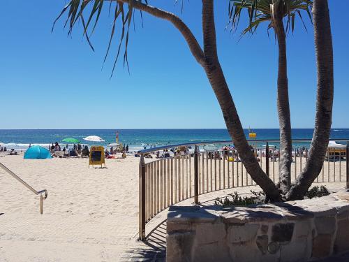 Verve on Cotton Tree