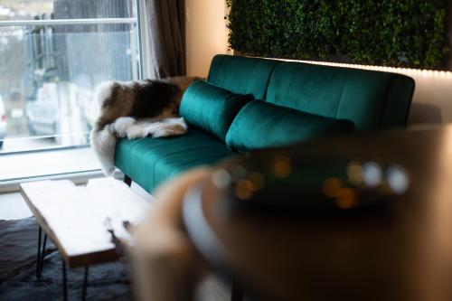 Signature Suites - Forest Flat in Winterberg, Deutschland