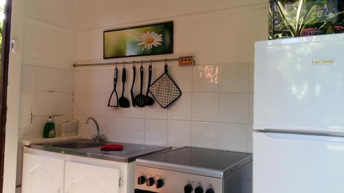 Kitchen, Gites dans un jardin in Terre-de-Haut
