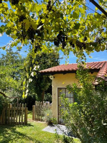 Casa de Vilar de Rei, a tranquilidade do mundo rural – khách sạn tại Trung tâm Thành phố Guimaraes