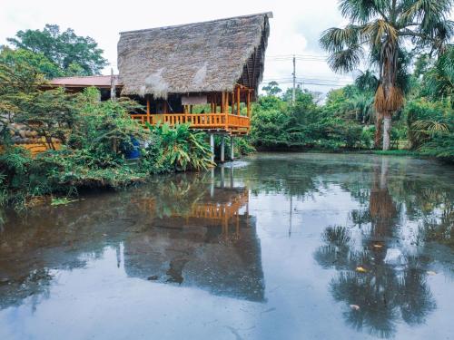 Coati Lodge Misahualli in Puerto Misahualli