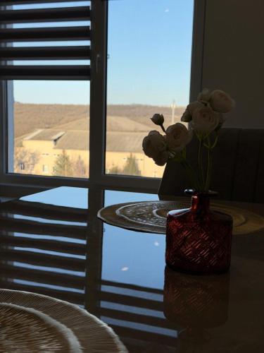 Riviera Orhei Relax & Stay in Orhei
