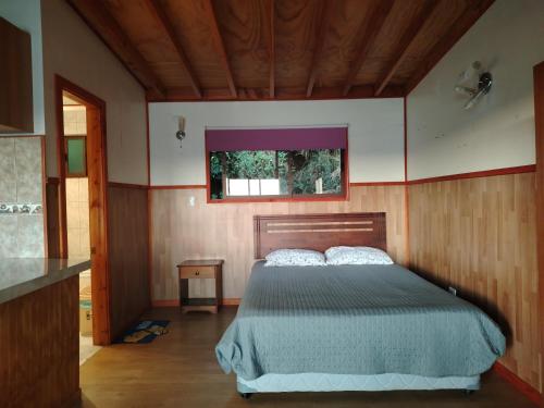 Departamentos y Cabañas tres espinos altos (Departamentos y Cabanas tres espinos altos) in Valdivia