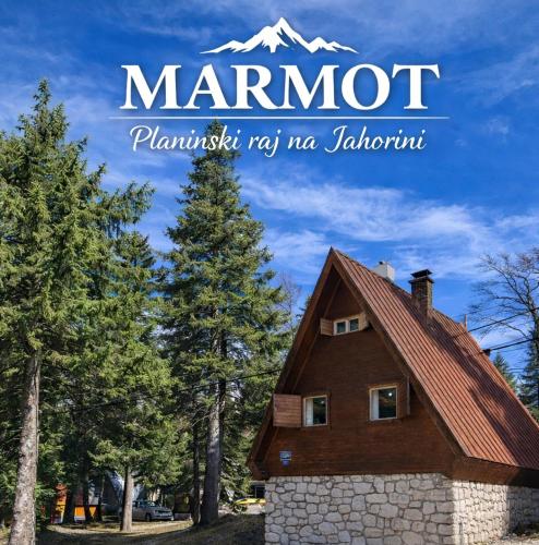 Marmot Jahorina