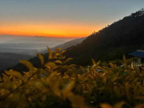 Gaurishankar organic home stay in Balthali