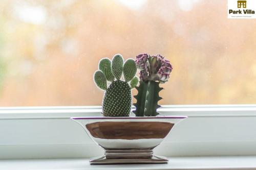 Park Villa Apartments Park Villa Apartments