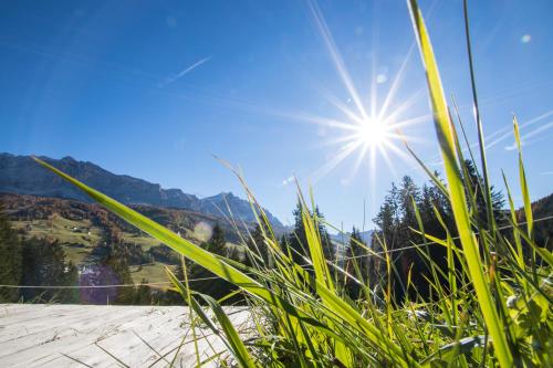 Agriturismo Maso Runch - image 2
