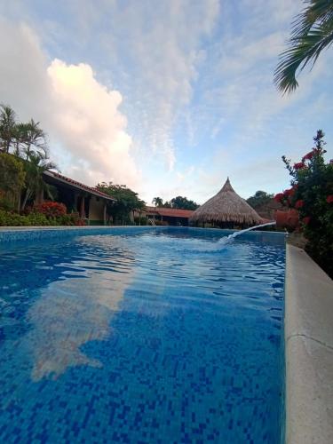 Swimming pool, 2 aptos 8 y 6 pax, nuevo, piscina, Pampatar, Margarita in Margarita Island
